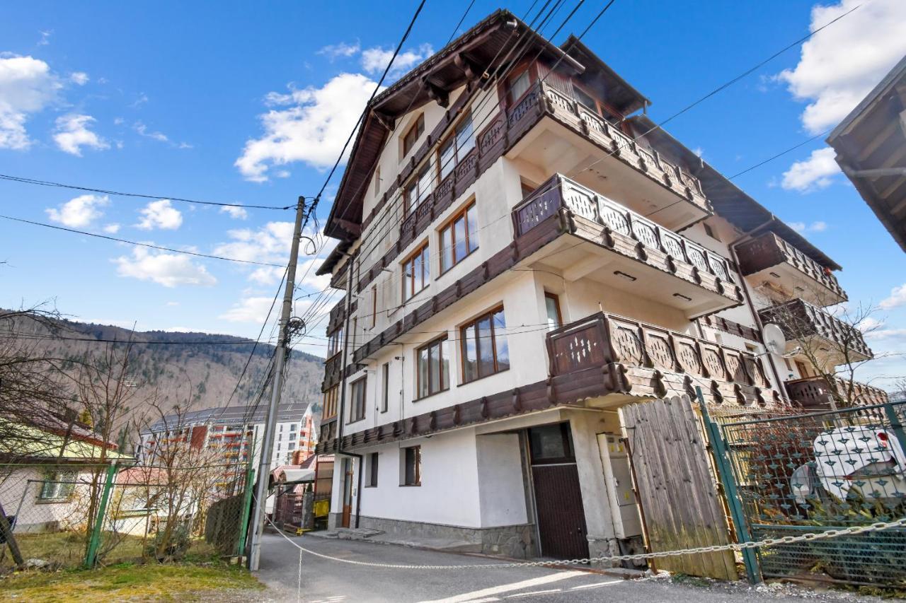 Cozy Montain Studio Apartment Sinaia Exterior photo