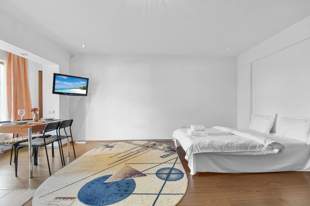 Cozy Montain Studio Apartment Sinaia Exterior photo